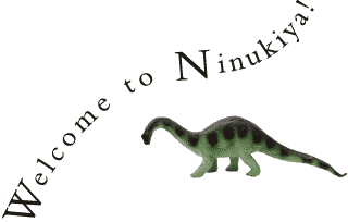 Welcome to Nenukiya!